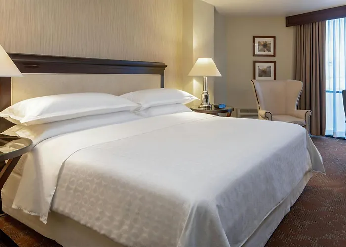 Sheraton Houston Brookhollow Hotel